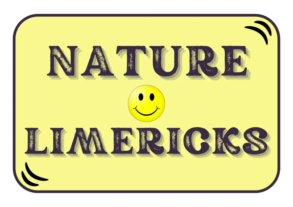 nature limericks