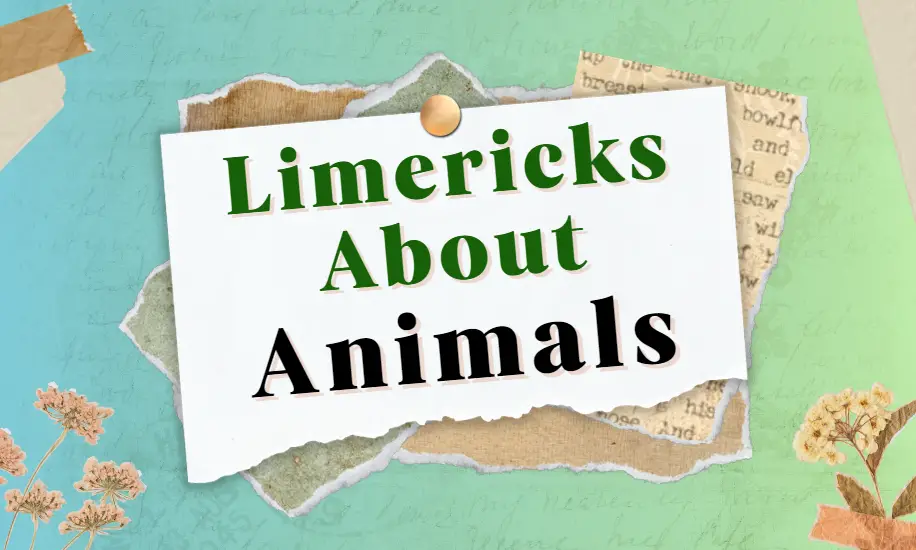 limericks about animals