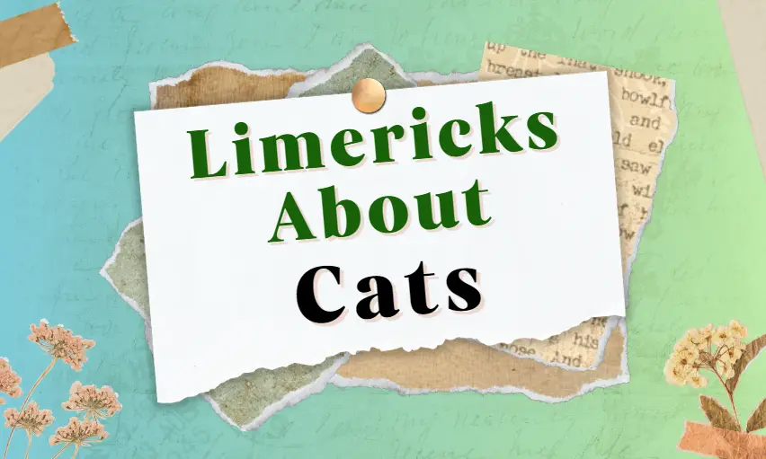 limericks about cats